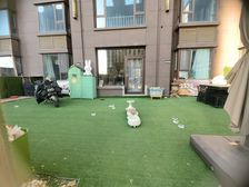 九原 东方俪城 3室2厅 146.00㎡ 70万