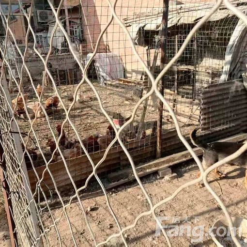 顺义其它顺义区后王会 4室3厅 140㎡ 2500元/月