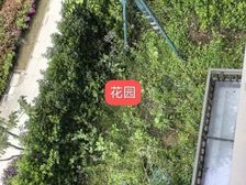 复地星愉湾别墅 4室2厅 234.00㎡ 520万