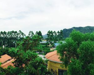 #业主直售!肇庆星湖名郡桂雨苑,国家AAAAA级旅游景区房源