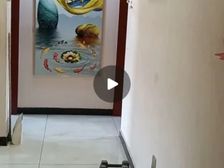 河北 金沙江里 2室1厅 60.00㎡ 60万