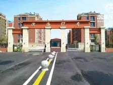 滨海87号 4室2厅