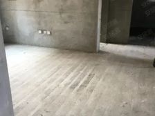 101团 金科雅郡 3室2厅