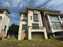 三水 丽日天鹅湖 双拼别墅 二线湖景 低容积 房东直卖