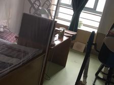 状!元!学!霸!房,赠100平方阁楼,类森林别墅,元气氧吧