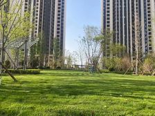 高新 时光之城文苑 新房 毛坯 临地铁#房东直卖 #送车位