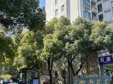 稀缺朝南错层大三居,湘府花园温馨宜居好选择