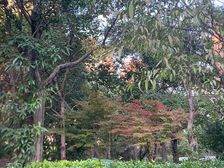 象山 锦绣家园 3室1厅