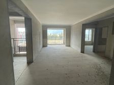 南向两房阳光满屋 驿南路88平温馨之家
