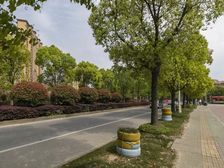 嘉善 大众湖滨花园 2室1厅送大花园50平米