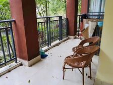 皇家壹号 正南朝向 宽大阳台 精装可拎包入住 舒适宜人!