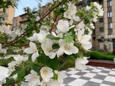 中牟 康桥香溪郡 2室2厅