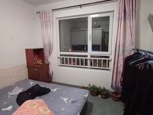 滨海新区 新塘组团星光苑 1室1厅