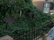 肃州区 富祥花园 2室1厅