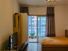 高新 世纪城天鹅湖 1室0厅