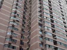 徐汇 上影广场公寓 3室2厅