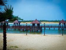 世茂御龙海湾2室2厅1卫南北朝向65.00万元出售