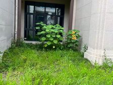 南岸 龙湖康田麓宸 6室4厅 172.00㎡ 280万