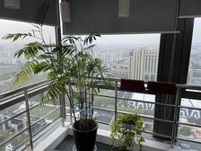 七莘路甲级写字楼82平 随时入驻 月租8000元