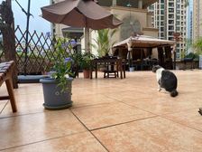 "盛天华府带大露台三房,东向阳光满屋,商住两用