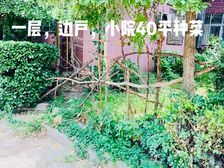 出国急售市中心小学中学,边户一楼私聊卫信号peiripeng