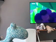 颍上县 苏州庄园 4室2厅