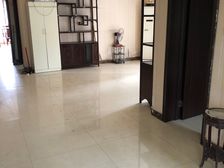 急急急!一楼采光好房源急售!金水 聚锦苑 4室2厅