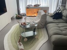 苏式园林 信达泰禾上城院子 奢华装修 南北通透三室两卫