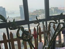 湖里 都市港湾 3室2厅2卫