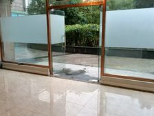 兰花路临街商铺出租,135平方正空间,层高5米