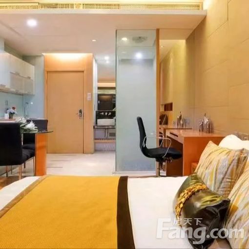 和平南营门天津中心45.35平方米 1室1厅1卫