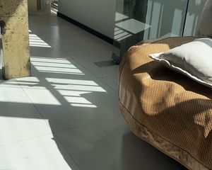 芦淞 福鑫大厦 2室1厅