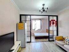 开发区 岭湾峰尚 1室1厅