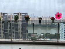 南向四居望江大平层 时代外滩169平仅售730万 满五**