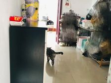 九一直升山大附三居室