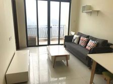 顶复楼中楼 2层 碧桂园花溪首府93平仅36万