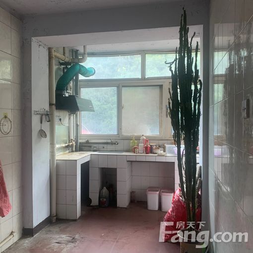 Ë«ÇÅÇøÎ÷´ó½Ö¹©Èȳ§¼ÒÊôÂ¥67ƽ·½Ã× 2ÊÒ1Ìü1ÎÀ