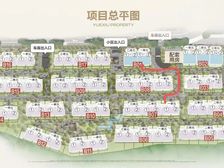 渝北 新山和悦 4室1厅 142.00㎡ 185万