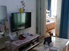 房东直售高碑瑞苑 1室1厅