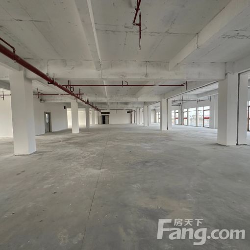 厂房:白云石井白云9999㎡ 11元/平米·月
