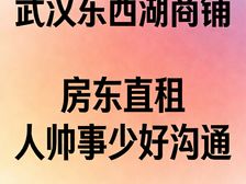 武汉商铺出租价格美丽?