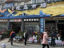 15年成熟市场,花鸟萌宠天堂