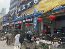 花鸟水族性价比超高店铺