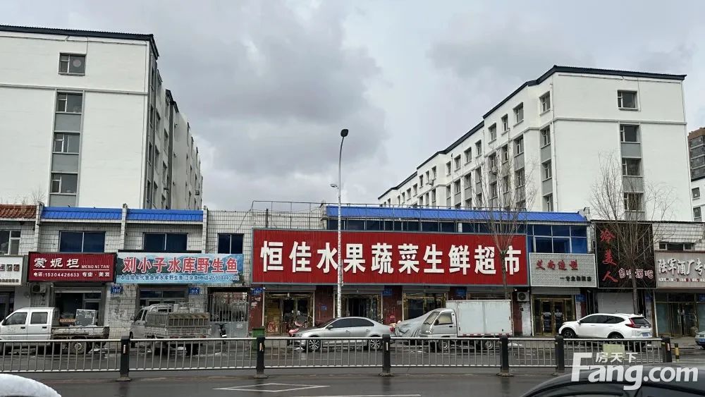 榆树中心街南段底商出售恒佳和艾尚1、2层+蒙妮坦及野生鱼2楼