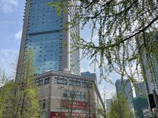 青羊草市街冠城广场写字楼 纯写字楼285平米