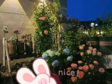 洋房九里香堤 4室2厅 带露台 电梯入户
