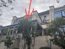 天屿花城·云境春墅别墅4室2厅3卫南朝向138.00万元出售