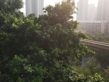 渝能国际2室2厅1卫南北朝向69.00万元出售