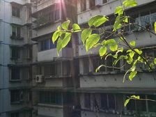 西城角巷2室2厅1卫东西朝向106.00万元出售