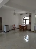 ���㺣